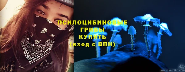 дурь Липки