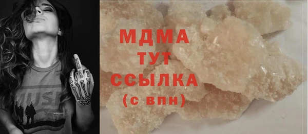 шишки Магас