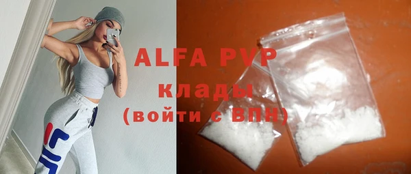 шишки Магас