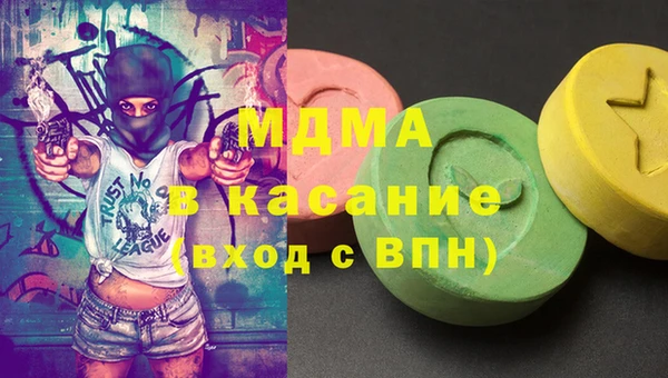 шишки Магас