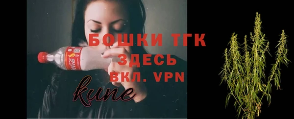 шишки Магас
