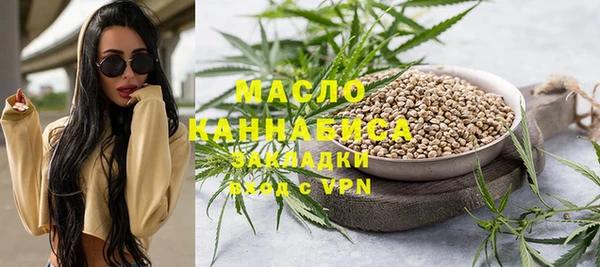 шишки Магас
