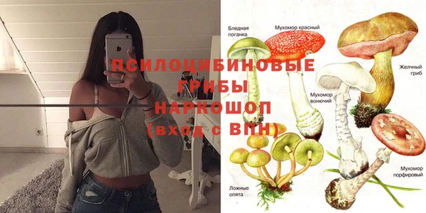 соль ск Майский