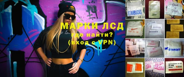 шишки Магас