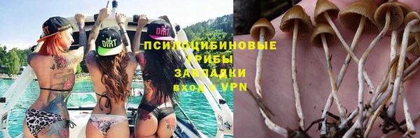 соль ск Майский