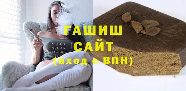 шишки Магас