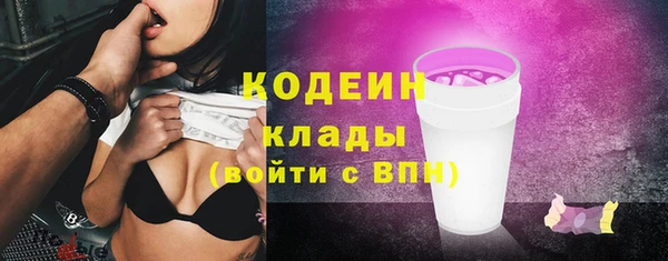 шишки Магас