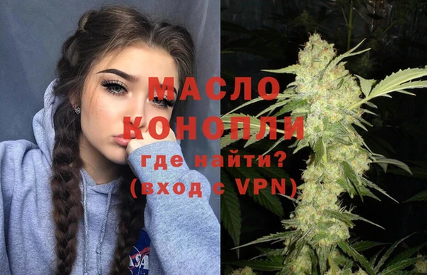 шишки Магас