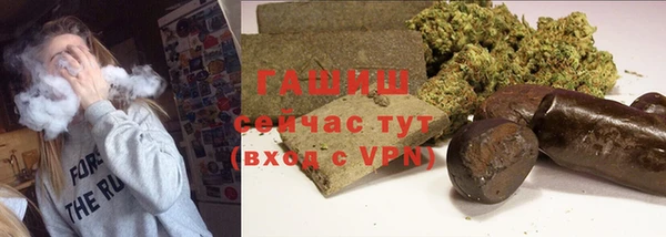 шишки Магас